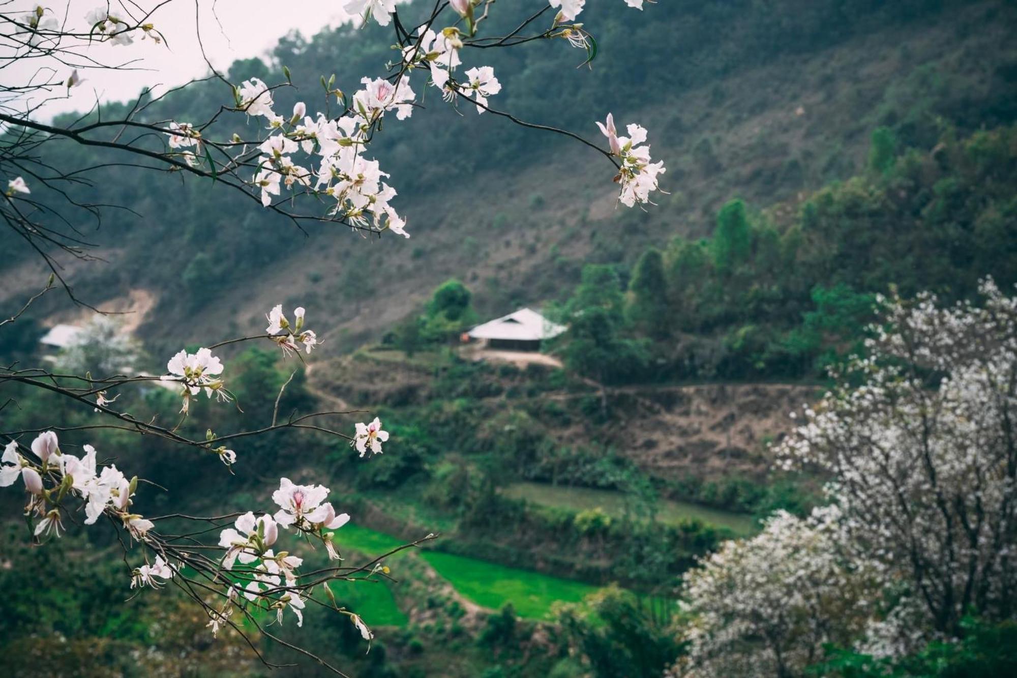Minh Ngoc Homestay Dien Bien Phu Ban Him Lom Ngoại thất bức ảnh