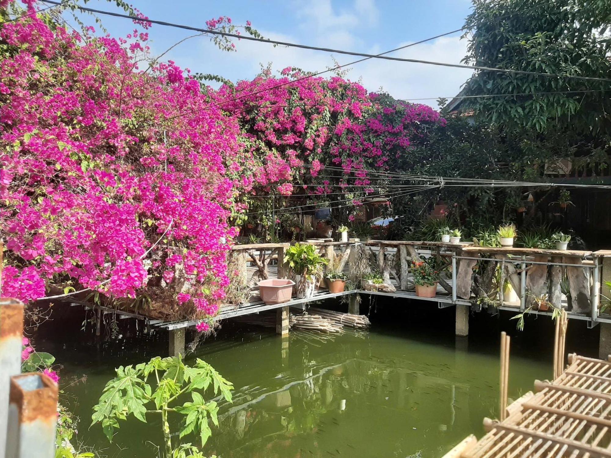 Minh Ngoc Homestay Dien Bien Phu Ban Him Lom Ngoại thất bức ảnh