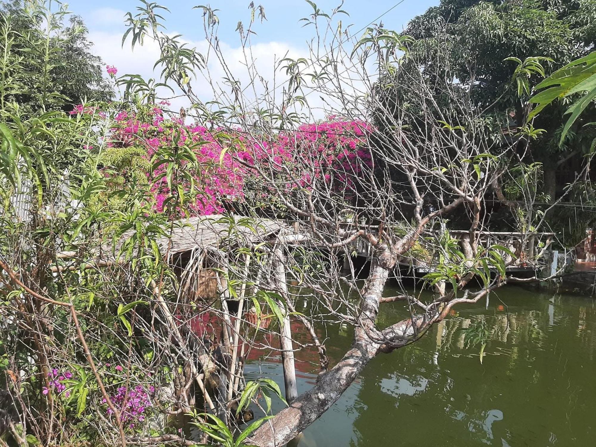 Minh Ngoc Homestay Dien Bien Phu Ban Him Lom Ngoại thất bức ảnh