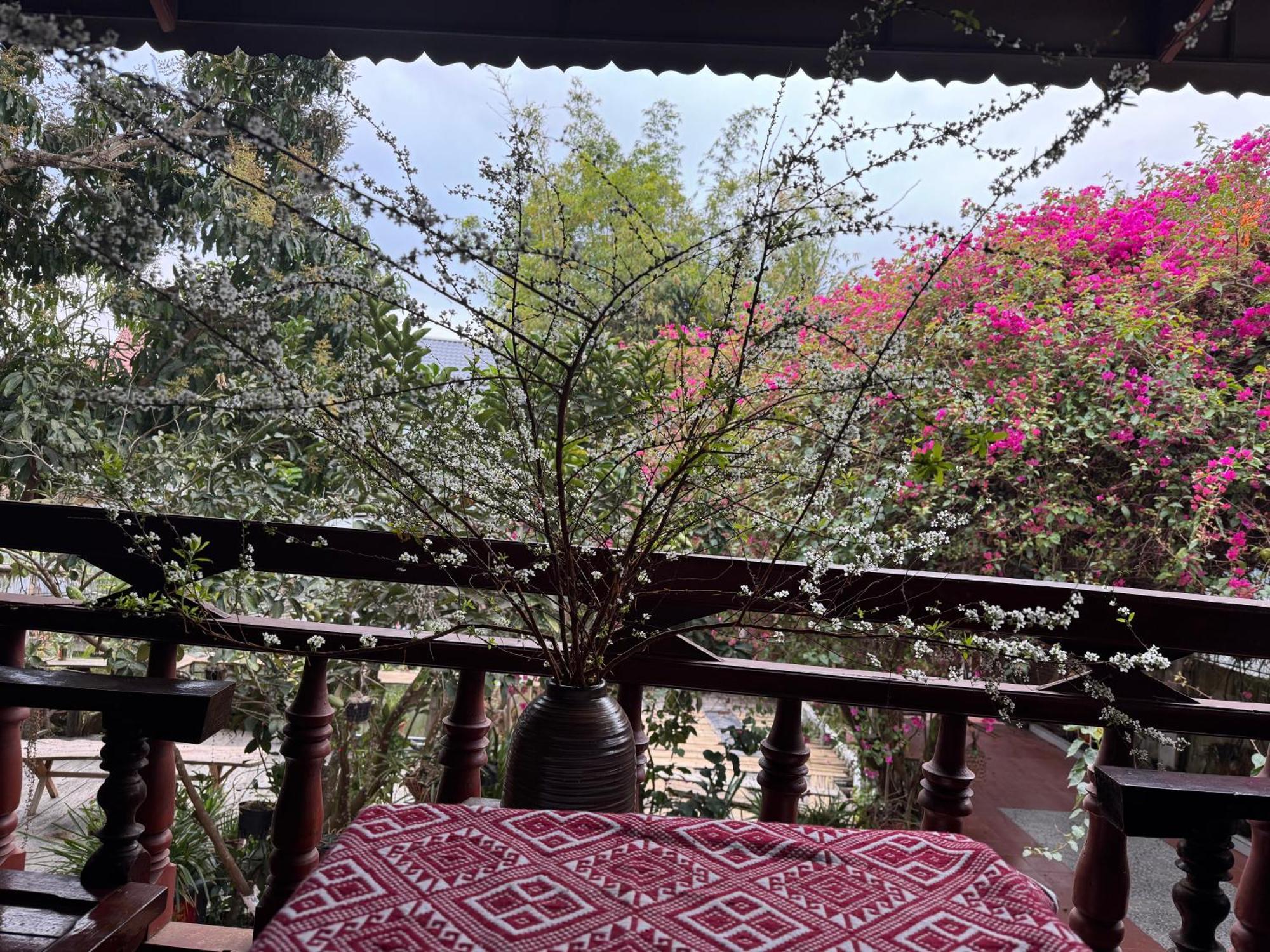 Minh Ngoc Homestay Dien Bien Phu Ban Him Lom Ngoại thất bức ảnh
